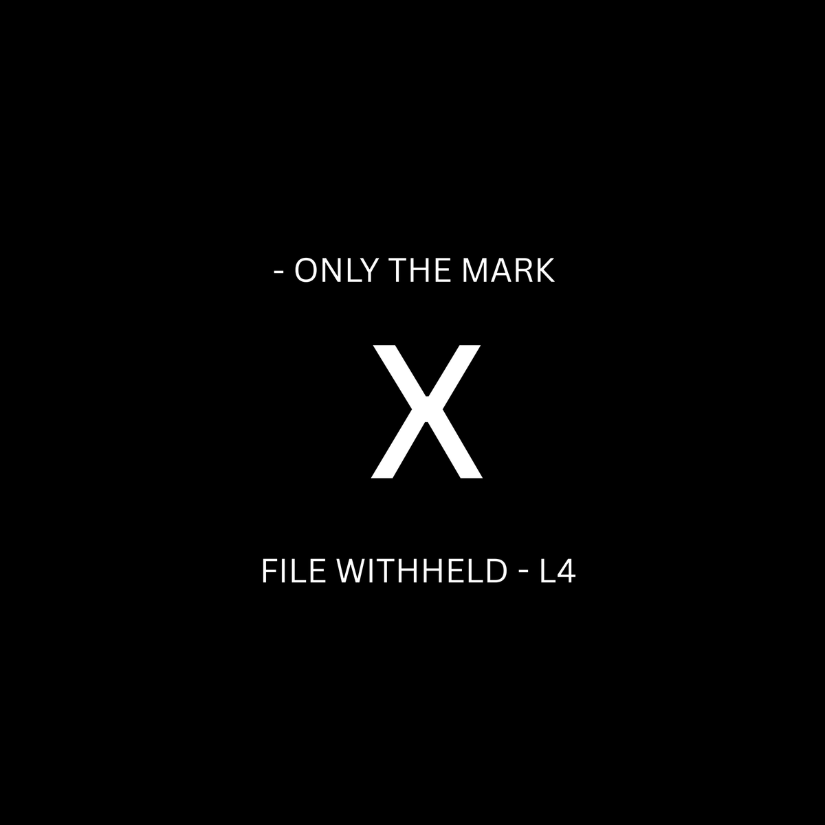 X.004 . DEV 03